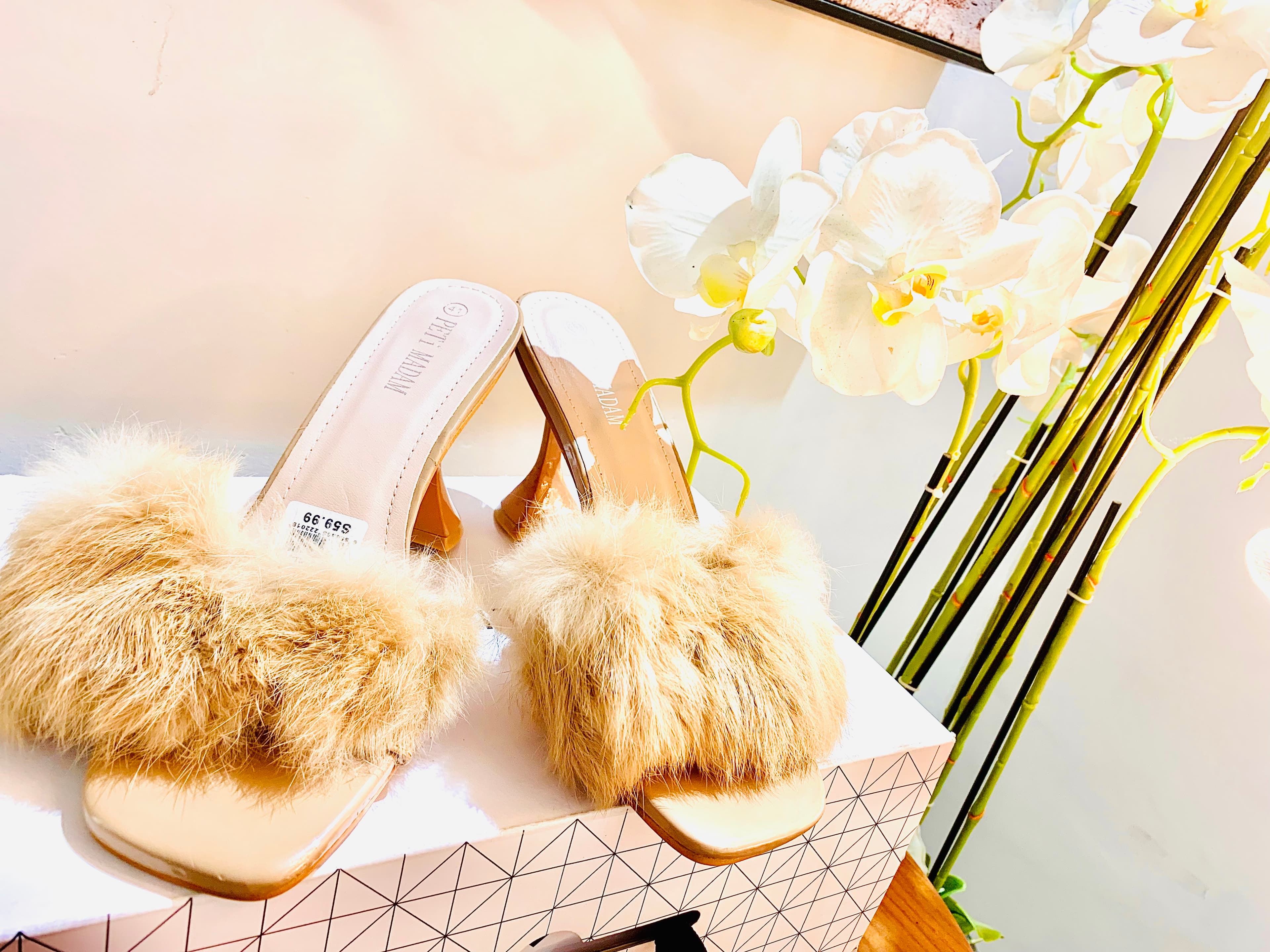 Talons